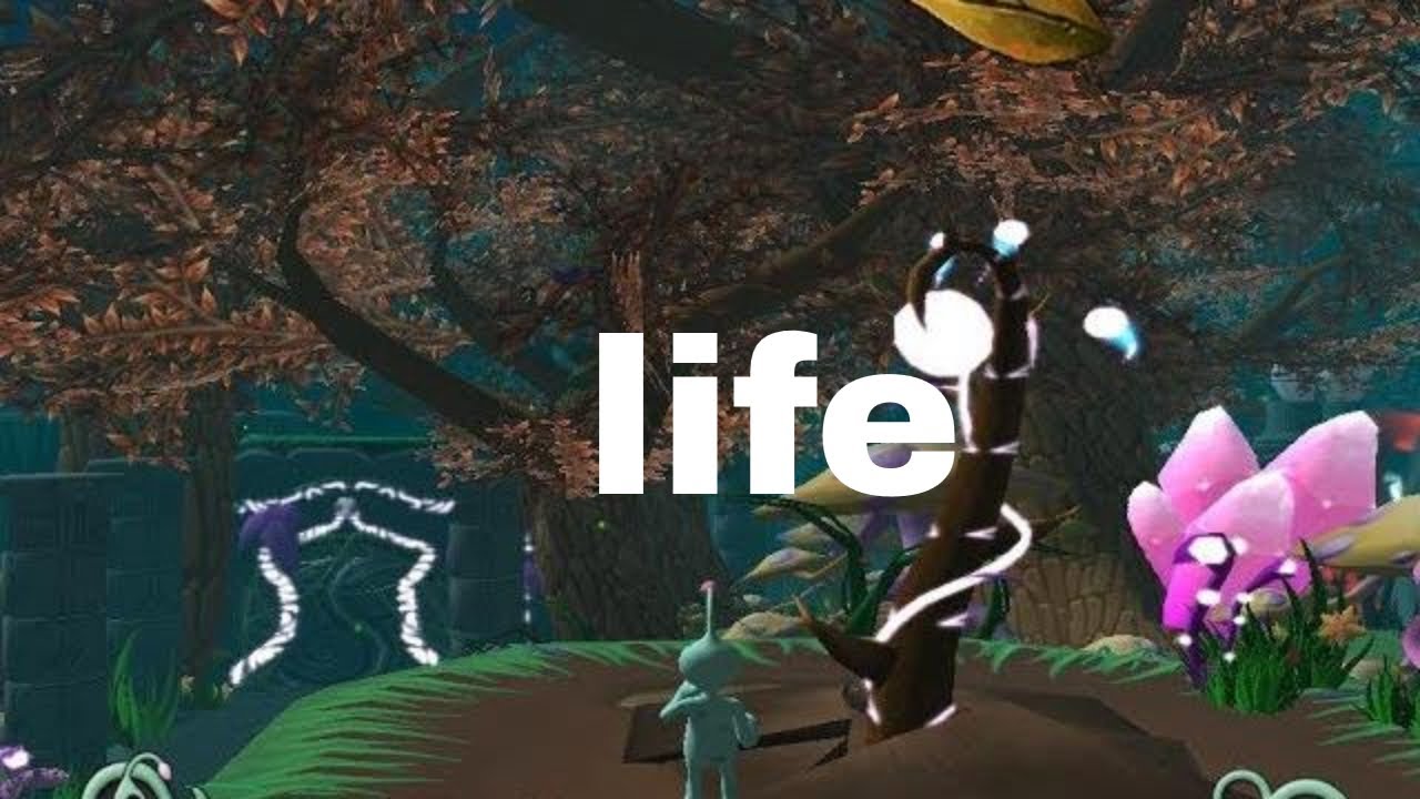 life image